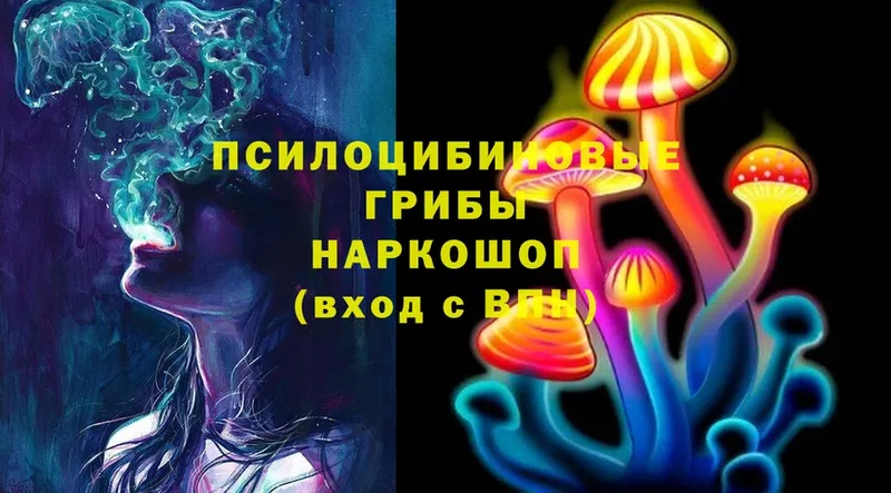 Галлюциногенные грибы Cubensis  Волчанск 